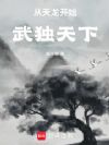 从天龙开始武独天下
